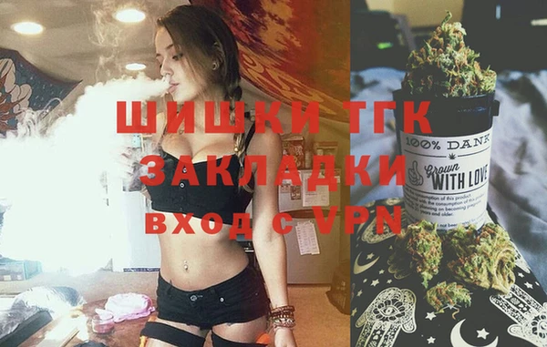 молекула духа Ивангород