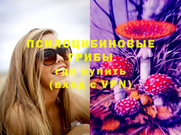 не бодяженный Заполярный