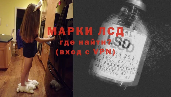 молекула духа Ивангород